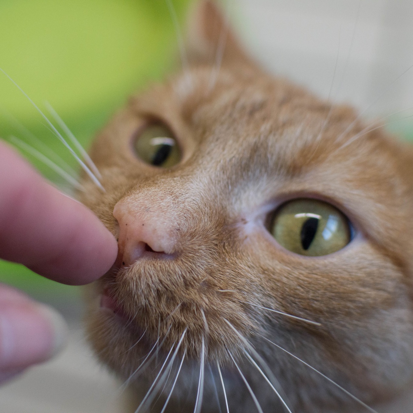 337512501_204802128825860_1932128997614058604_n