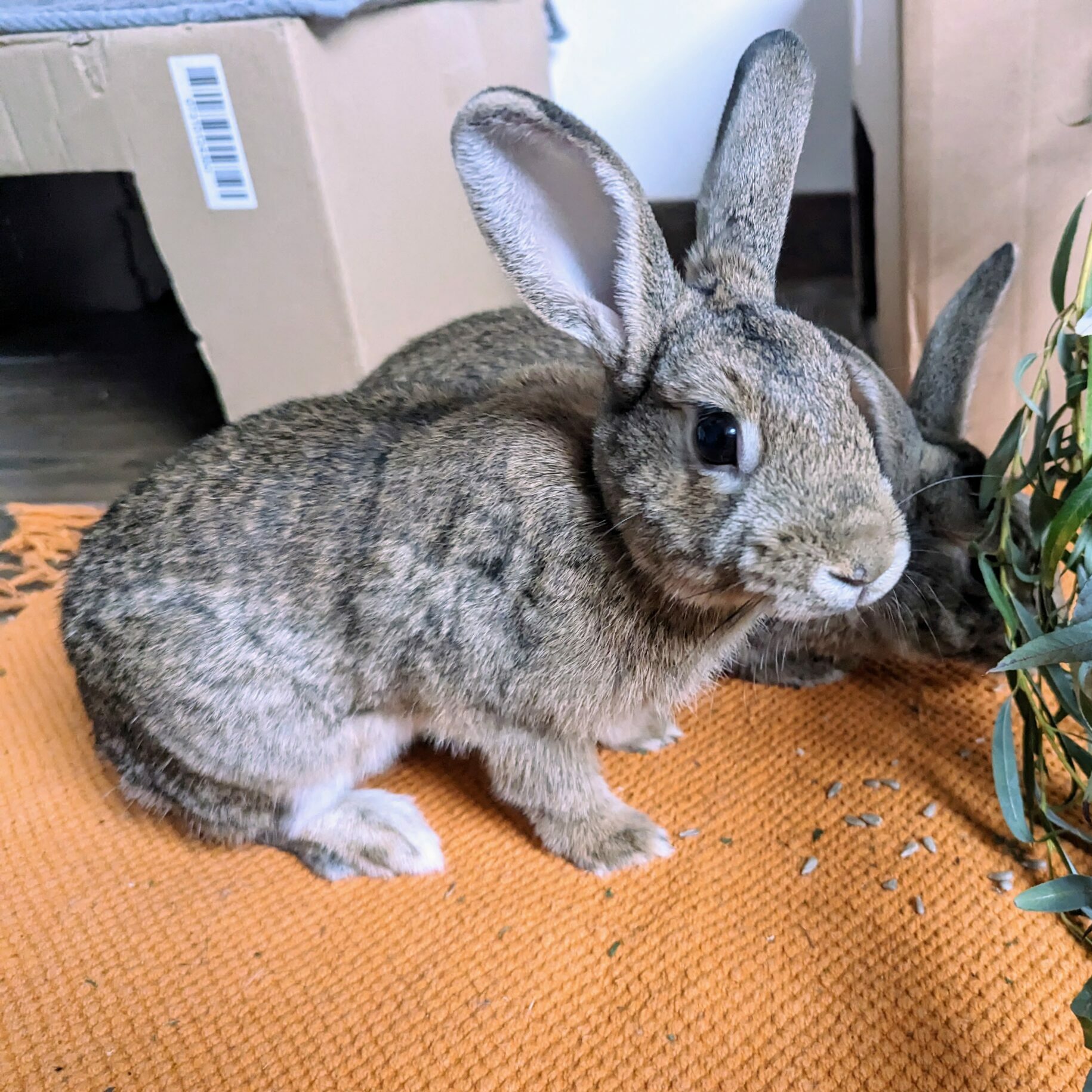 PXL_20231016_153244660